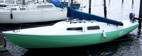 rosie d63