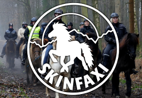 skinfaxi.dk